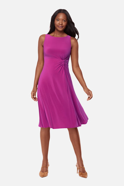 Miraclesuit Framboise Remi Fit & Flair Shaping Dress in Framboise