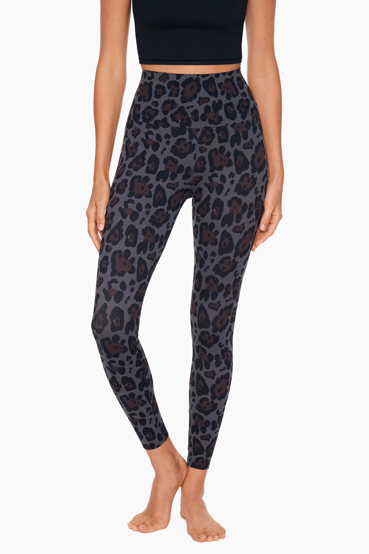 Miraclesuit Jaguar Jaguar Athleisure Legging