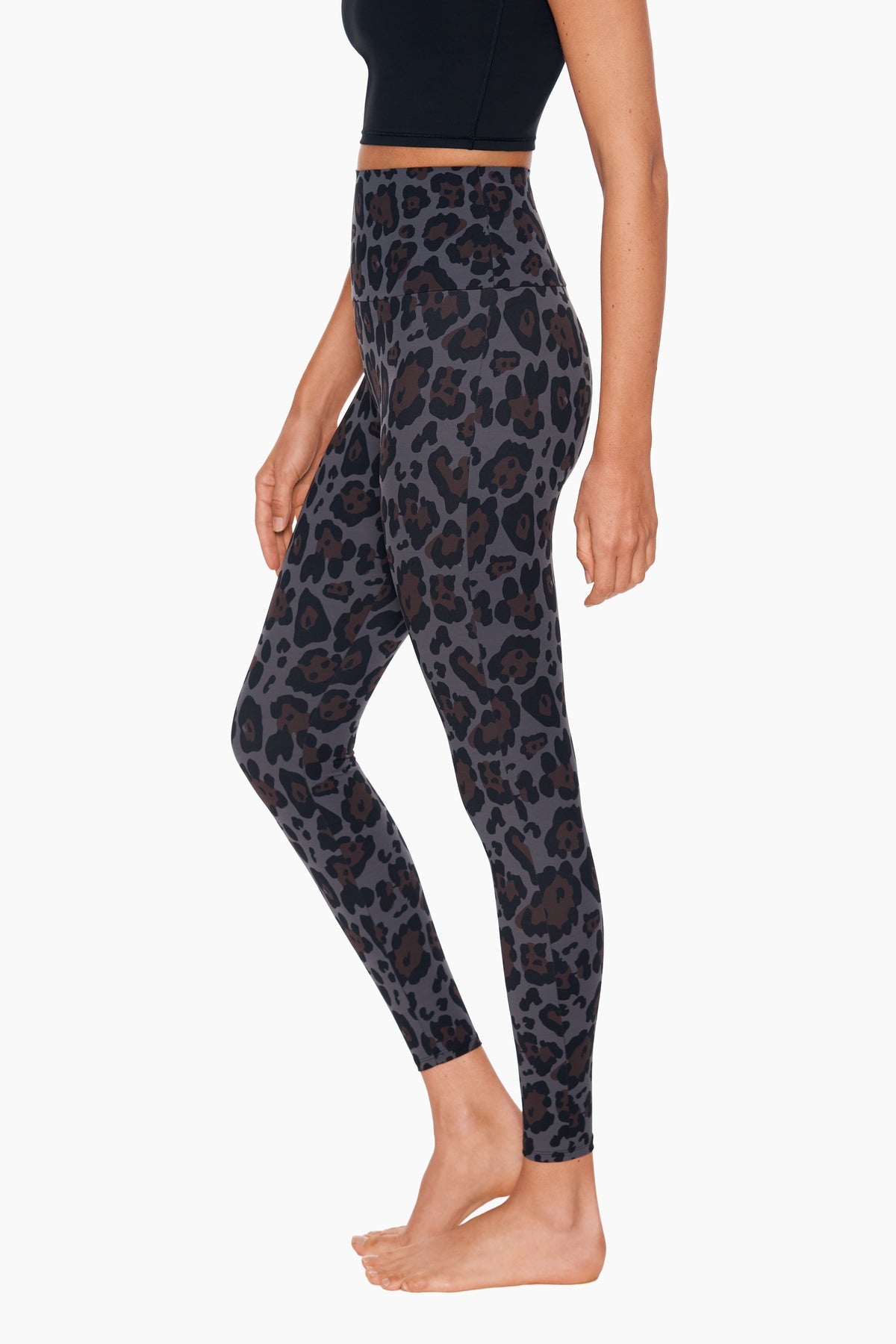 Miraclesuit Jaguar Jaguar Athleisure Legging
