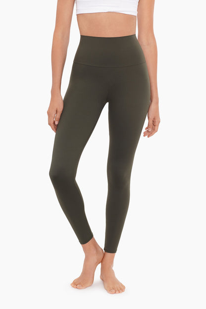 Miraclesuit Climbing Ivy Climbing Ivy Athleisure Legging
