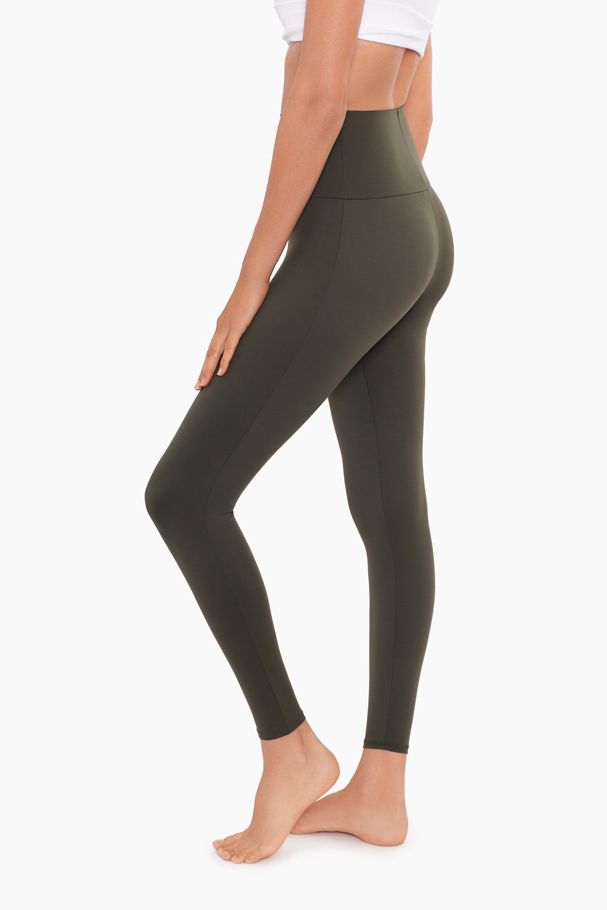 Miraclesuit Climbing Ivy Climbing Ivy Athleisure Legging