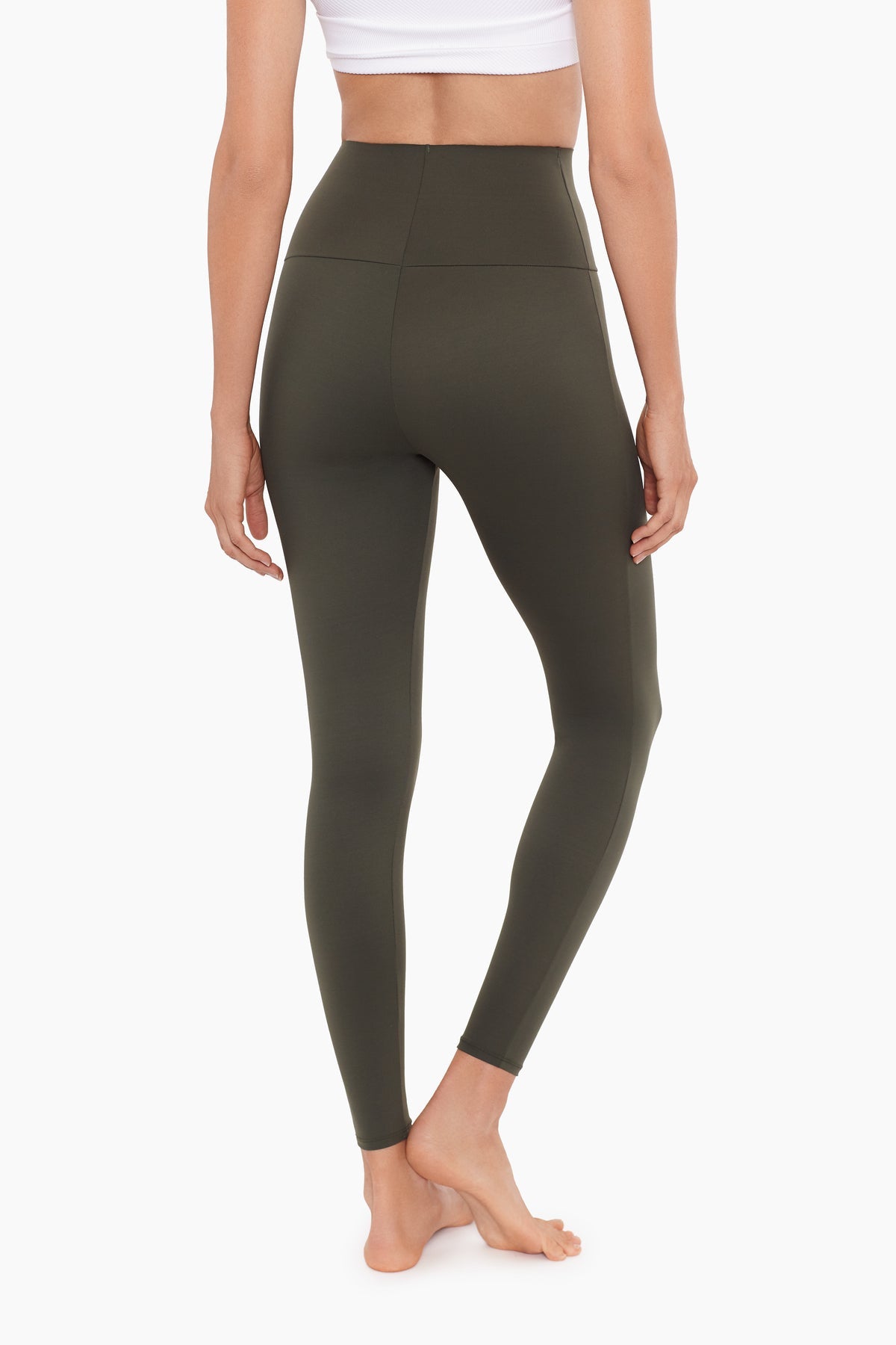 Miraclesuit Climbing Ivy Climbing Ivy Athleisure Legging